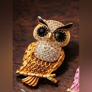 Orange & Golden, Mint Colorful Crystal Owl Brooch, Chunky.